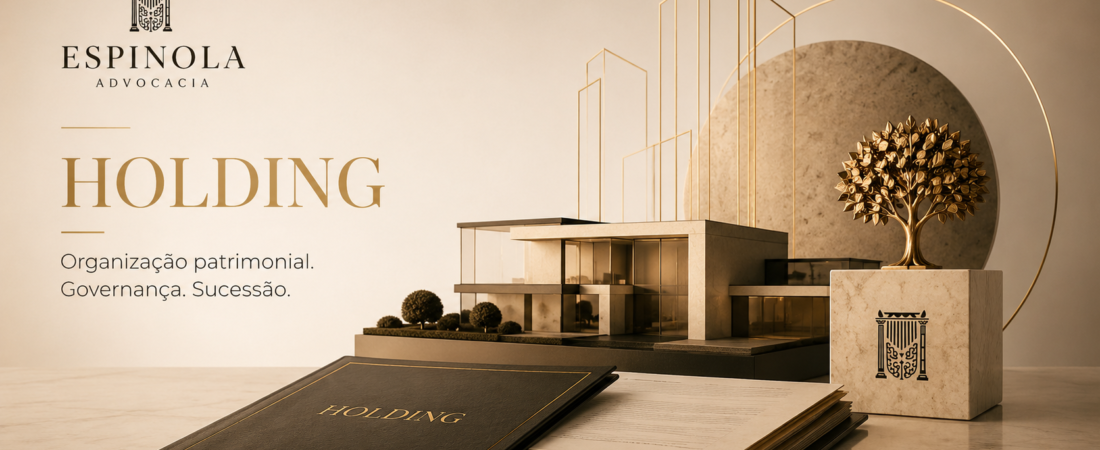 Holding: Conceito, Utilidade e Cuidados Essenciais